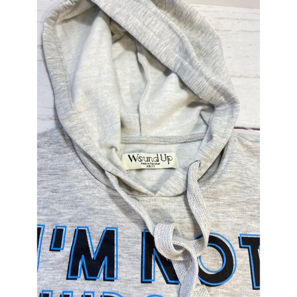 Wound Up Juniors Long Sleeve Graphic Hoodie Gray Womens Size XS NWT - Picture 3 of 7